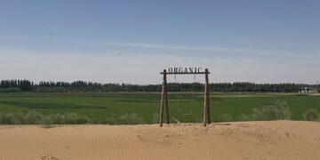 Bridging International investors with China’s Agri-Food businesses through Sustainability: ChinaAMC’s ESG trip
