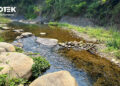 VIVOTEK Connects AI Technology and Ecology to Protect Taiwan’s River Ecosystems
