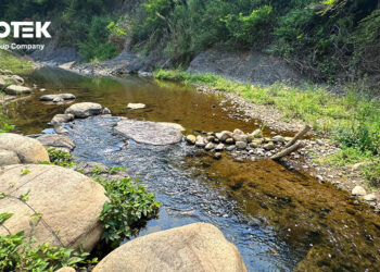 VIVOTEK Connects AI Technology and Ecology to Protect Taiwan’s River Ecosystems