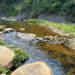 VIVOTEK Connects AI Technology and Ecology to Protect Taiwan’s River Ecosystems
