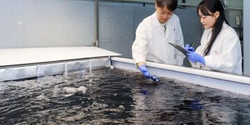 CJ Foods to Break Ground on Commercial Land-Based Gim Cultivation Facility, Pioneering Sustainable Production of Korean Seaweed