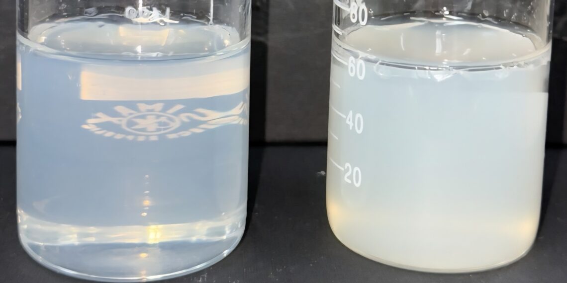 Shinsung Materials Strengthens Global Presence with High-Performance Personal Care Ingredients