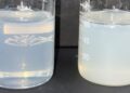 Shinsung Materials Strengthens Global Presence with High-Performance Personal Care Ingredients