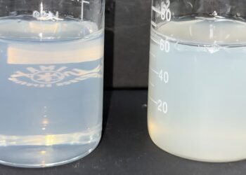 Shinsung Materials Strengthens Global Presence with High-Performance Personal Care Ingredients