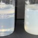Shinsung Materials Strengthens Global Presence with High-Performance Personal Care Ingredients