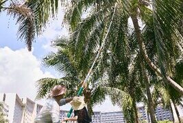 From “Traveling with Children” to “A Vacation for the Whole Family”: The Sanya EDITION Redefines Family Travel Experiences