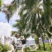 From “Traveling with Children” to “A Vacation for the Whole Family”: The Sanya EDITION Redefines Family Travel Experiences