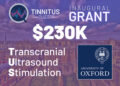 Tinnitus Quest Builds Momentum with Oxford Research Study, New Funding Call, and Second Tinnitus Hackathon