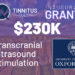 Tinnitus Quest Builds Momentum with Oxford Research Study, New Funding Call, and Second Tinnitus Hackathon