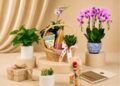 JM Flower’s Corporate Gifting Programme Helps Businesses Save More on Thoughtful Floral Gifts