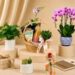 JM Flower’s Corporate Gifting Programme Helps Businesses Save More on Thoughtful Floral Gifts