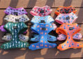 Dog Harness Manufacturer OKEYPETS Launches Neoprene and Air-Mesh Harness Collections for Global Pet Brands