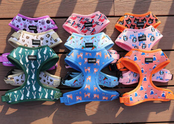 Dog Harness Manufacturer OKEYPETS Launches Neoprene and Air-Mesh Harness Collections for Global Pet Brands