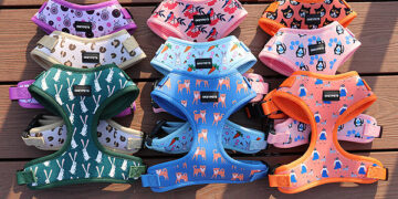 Dog Harness Manufacturer OKEYPETS Launches Neoprene and Air-Mesh Harness Collections for Global Pet Brands
