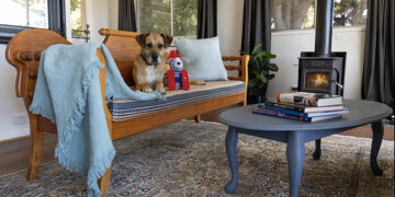 The costly winter pet mistakes Australians are making