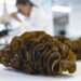Seaweed extract shown to relieve prostate symptoms