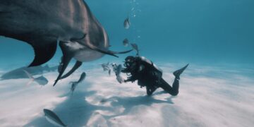 Insta360 Marks Shark Awareness Day with Global Campaign to Help Protect Sharks