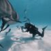 Insta360 Marks Shark Awareness Day with Global Campaign to Help Protect Sharks