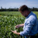 BASF Agricultural Solutions starts global registration of novel PPO herbicide Replexor™ Active