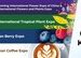 Yunnan Flower Exports Maintain Strong Growth Ahead of IFEX Kunming 2026