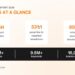 Temu Triples Brand Coverage in Proactive IP Enforcement Push