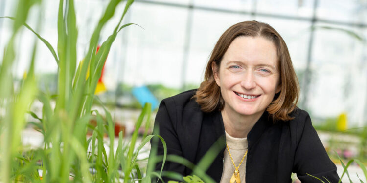 Moa Technology raises Series C round co-led by Oxford Science Enterprises and Supernova Invest