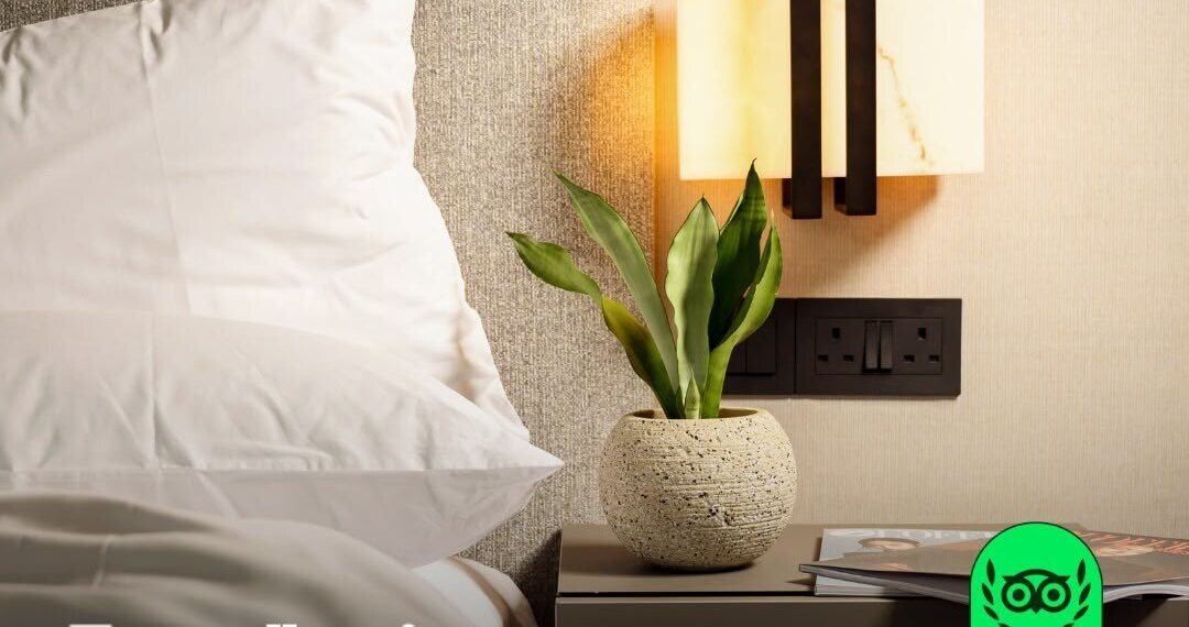 Dao by Dorsett AMTD Singapore Honoured with Tripadvisor Travellers’ Choice 2026, Recognised Among the Top 10% of Properties Worldwide