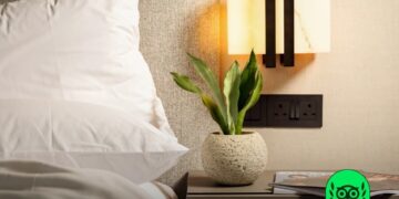 Dao by Dorsett AMTD Singapore Honoured with Tripadvisor Travellers’ Choice 2026, Recognised Among the Top 10% of Properties Worldwide