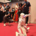 PrimeBOT Brings Personal Robotics to the UN’s AI for Good Summit in Geneva