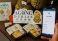 [Official Launch] AGONG Durian Uses Blockchain to Authenticate Every Musang King