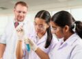 Beyond the IB Score: How EIS Builds Academic Excellence Through Community, Wellbeing and Belonging