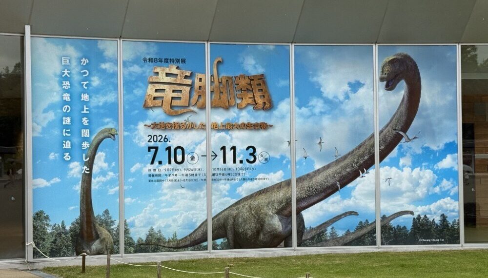 Sauropods in Katsuyama: Standing Beneath the Giants That Shook the Earth at Fukui Prefectural Dinosaur Museum