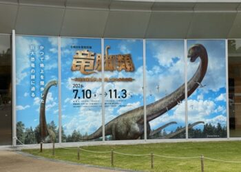 Sauropods in Katsuyama: Standing Beneath the Giants That Shook the Earth at Fukui Prefectural Dinosaur Museum