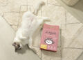 Lady N Brings Vet-Backed Pheromone Innovation to Everyday Litter Care