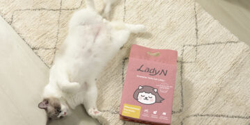 Lady N Brings Vet-Backed Pheromone Innovation to Everyday Litter Care
