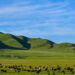 Beijing Review: Yaks and the revolution
