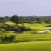 Swing Amid Black‑Rock Greenery! Discover Another Way to Holiday in Hainan