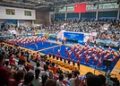 Traditional Martial Arts Showdown: Kungfu Elite from Home and Abroad Converge on Yongchun