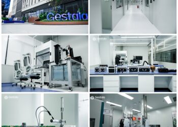 China’s BCI Race Accelerates: Gestala Raises US$84 Million in Six Months