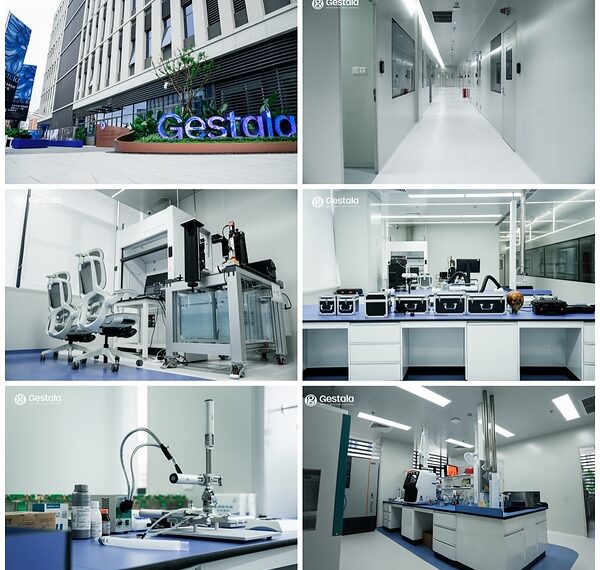China’s BCI Race Accelerates: Gestala Raises US$84 Million in Six Months