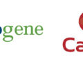 Global genomics and multi-omics leader Novogene to establish its first Australian laboratory at Cabrini Health, accelerating access to precision cancer care