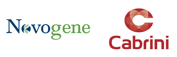 Global genomics and multi-omics leader Novogene to establish its first Australian laboratory at Cabrini Health, accelerating access to precision cancer care