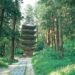 Sacred Journeys: 5 Transport Leaders Connect Japan’s Ancient Pilgrimage Routes to Offer a New Kind of Travel