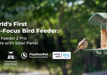 Kiwibit Launches Bird Feeder 2 Pro, the World’s First Smart Bird Feeder with 4K HDR and Auto-Focus
