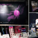 BUSAN VIBE: WAVE Showcases WDC BUSAN 2028 in Taiwan