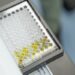Taiwanese Team Highlights Precision Indoxyl Sulfate Testing for Early CKD Management in Japan