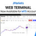 Browser-Based Trading: A New Web Terminal for MT5 Accounts