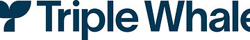 Triple Whale Unveils New Brand Identity for Its Next Era As The AI Operating System For Modern Commerce